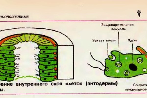 Kraken маркетплейс