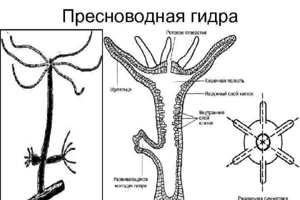 Кракен официальная kr2web in