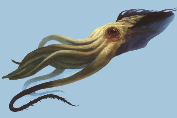 Открыть сайт кракен kraken ssylka onion
