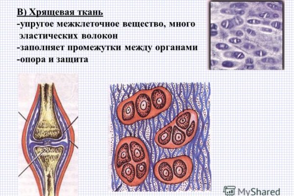 Кракен современный маркетплейс