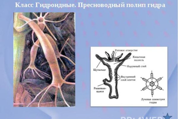 Легал рс биз