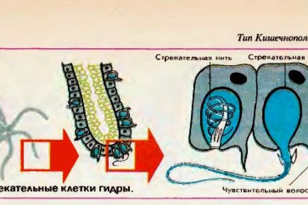 Кракен новый маркетплейс