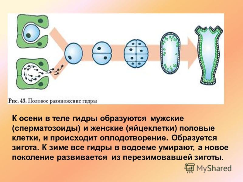 Кракен переходник ссылка